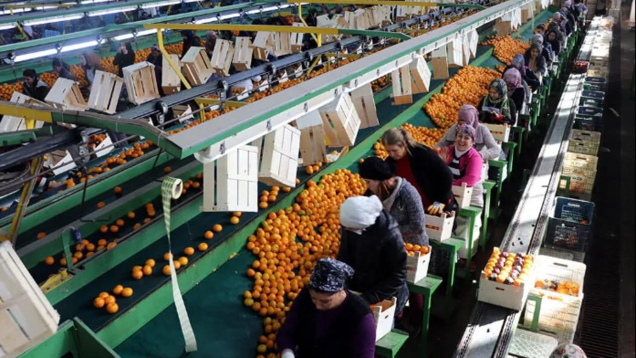 Türkiye'nin 9 Aylık İhracatında 211 Milyar Dolarlık Rekor Artış