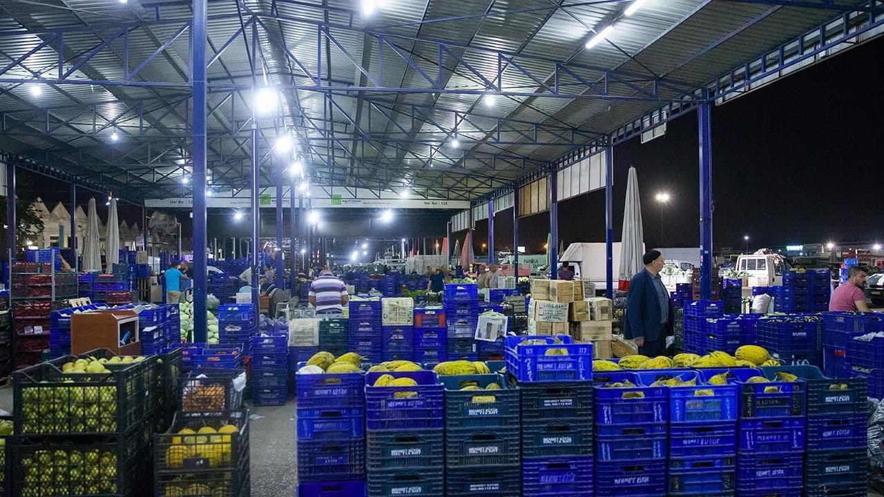 Türkiye'nin Yaş Meyve İhracatında 7 Ayda 1 Milyar Dolar Eşiği Aşıldı