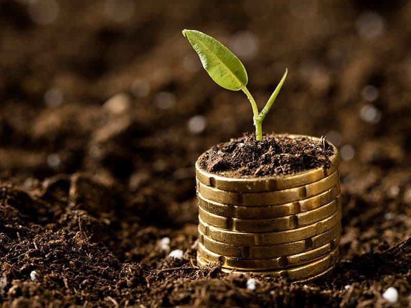 Tohum Yatırım Nedir? Start-up Finansmanında İlk Adım